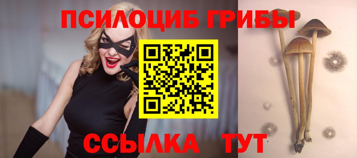 Псилоцибиновые грибы мухоморы Шуя