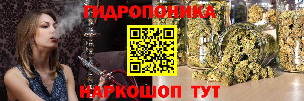 Конопля индика Шуя